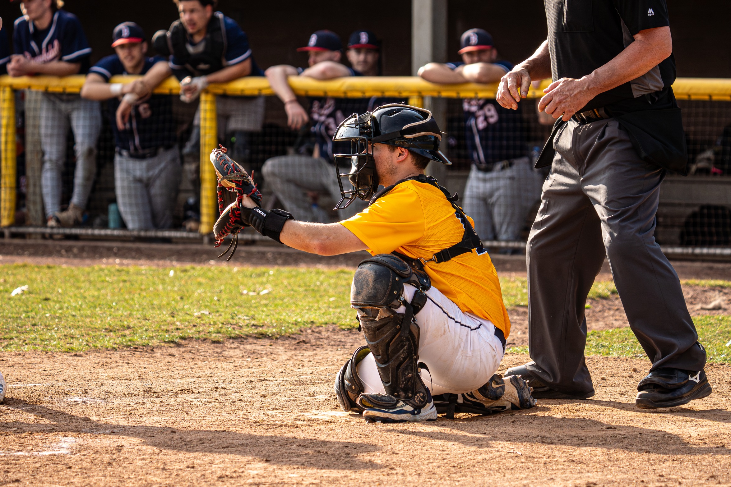 Baseball finds its stride, eyes postseason run