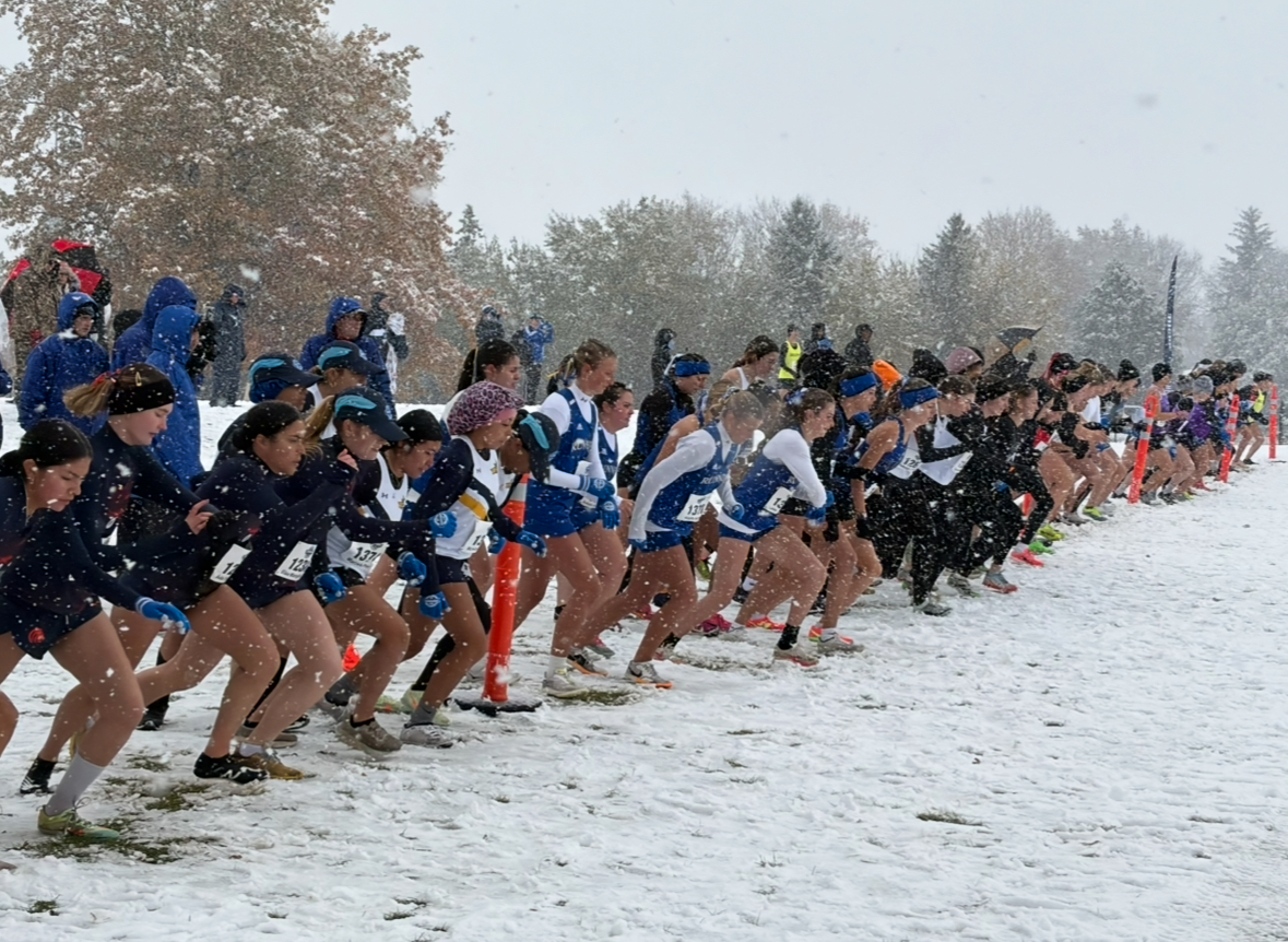 Cross Country performs well at Nationals